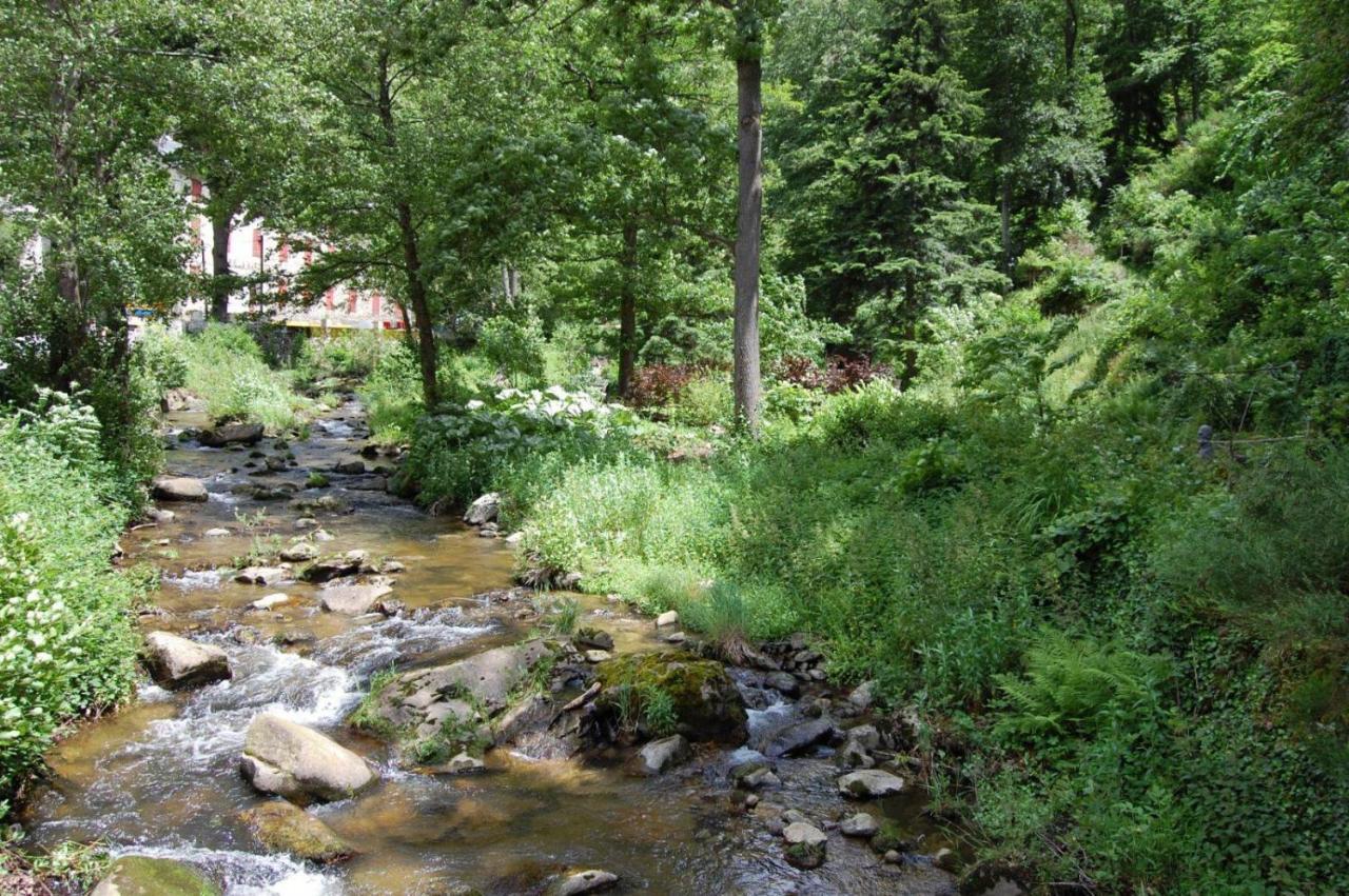 Notre-Dame D'Escouloubre Sources D'Eaux Chaudes Privees Et Sauna Buitenkant foto